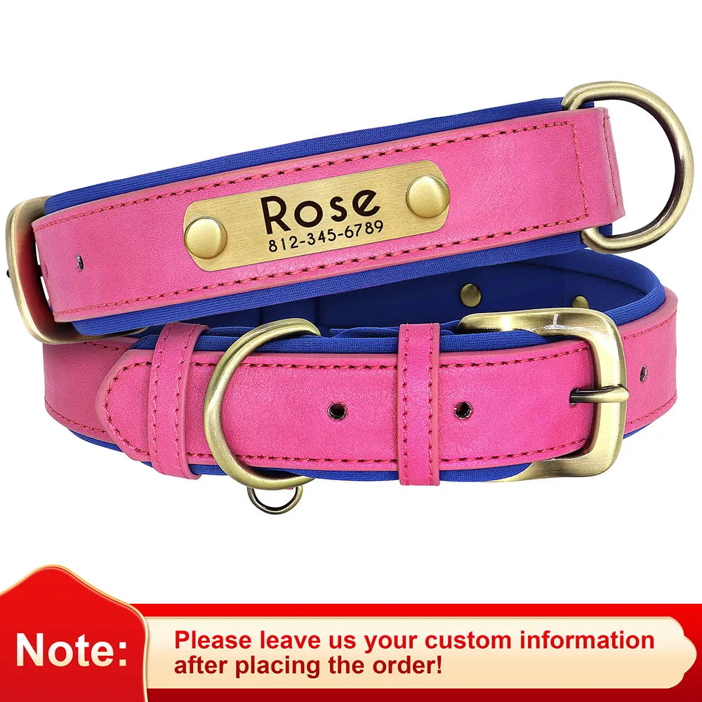 "Personalized Padded Leather Dog Collar - Custom Engraved Nameplate".