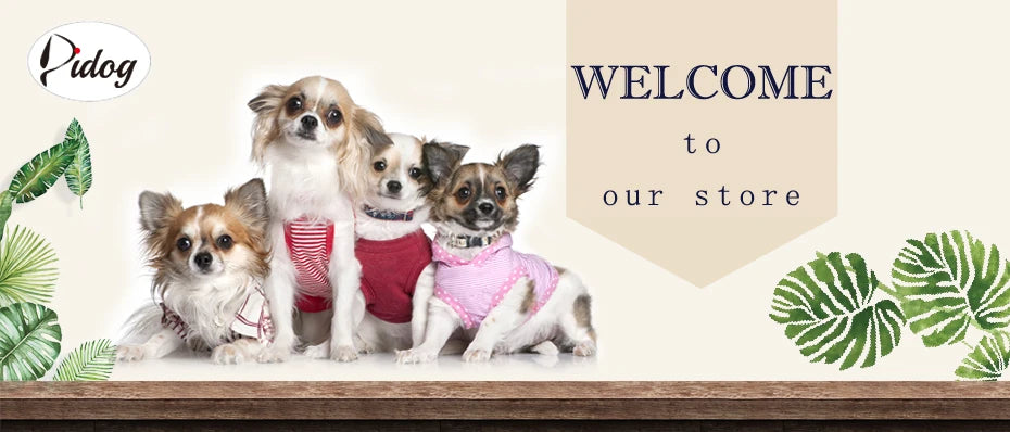 "Personalized Padded Leather Dog Collar - Custom Engraved Nameplate".