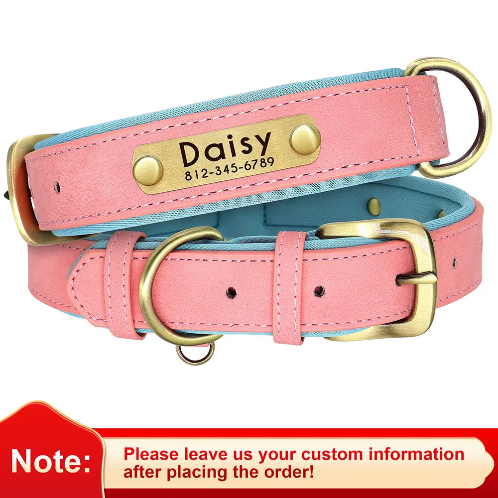 "Personalized Padded Leather Dog Collar - Custom Engraved Nameplate".