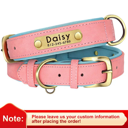 "Personalized Padded Leather Dog Collar - Custom Engraved Nameplate".