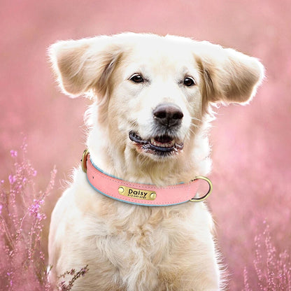 "Personalized Padded Leather Dog Collar - Custom Engraved Nameplate".