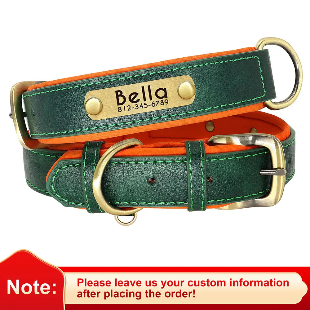 "Personalized Padded Leather Dog Collar - Custom Engraved Nameplate".