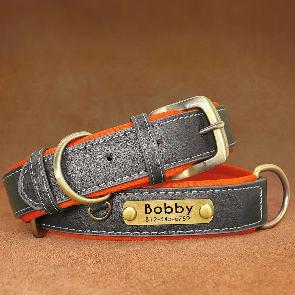 "Personalized Padded Leather Dog Collar - Custom Engraved Nameplate".