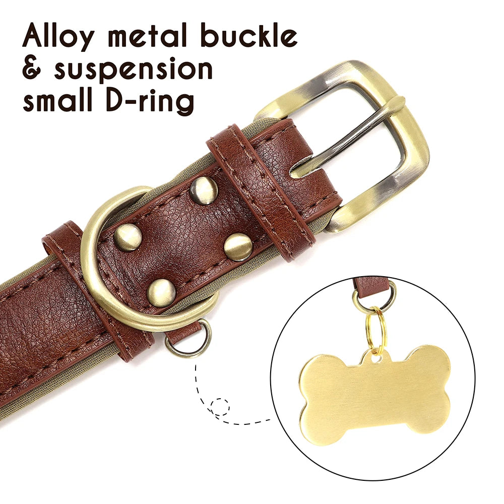 "Personalized Padded Leather Dog Collar - Custom Engraved Nameplate".