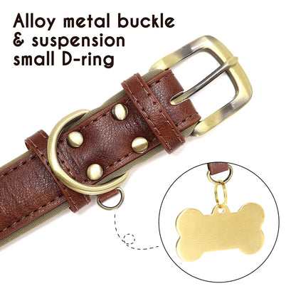 "Personalized Padded Leather Dog Collar - Custom Engraved Nameplate".