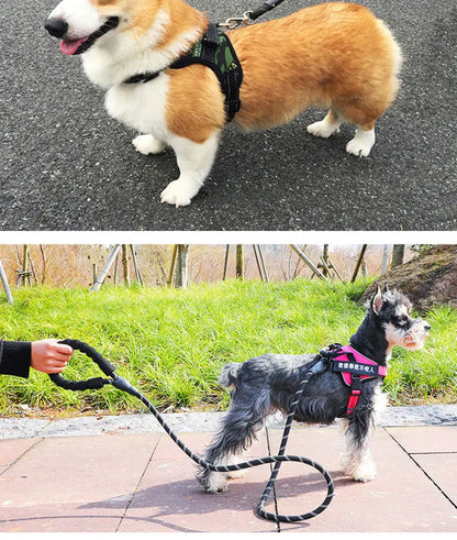 Heavy-Duty Rope Dog Leash with Comfort Handle - Multiple Colors & Lengths