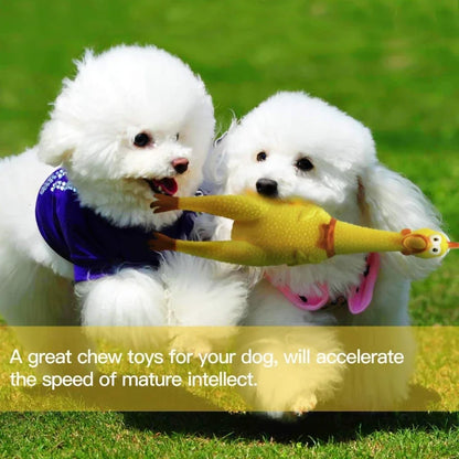Funny Screaming Chicken Squeaky Toy - Interactive Stress-Relieving Toy for Dogs