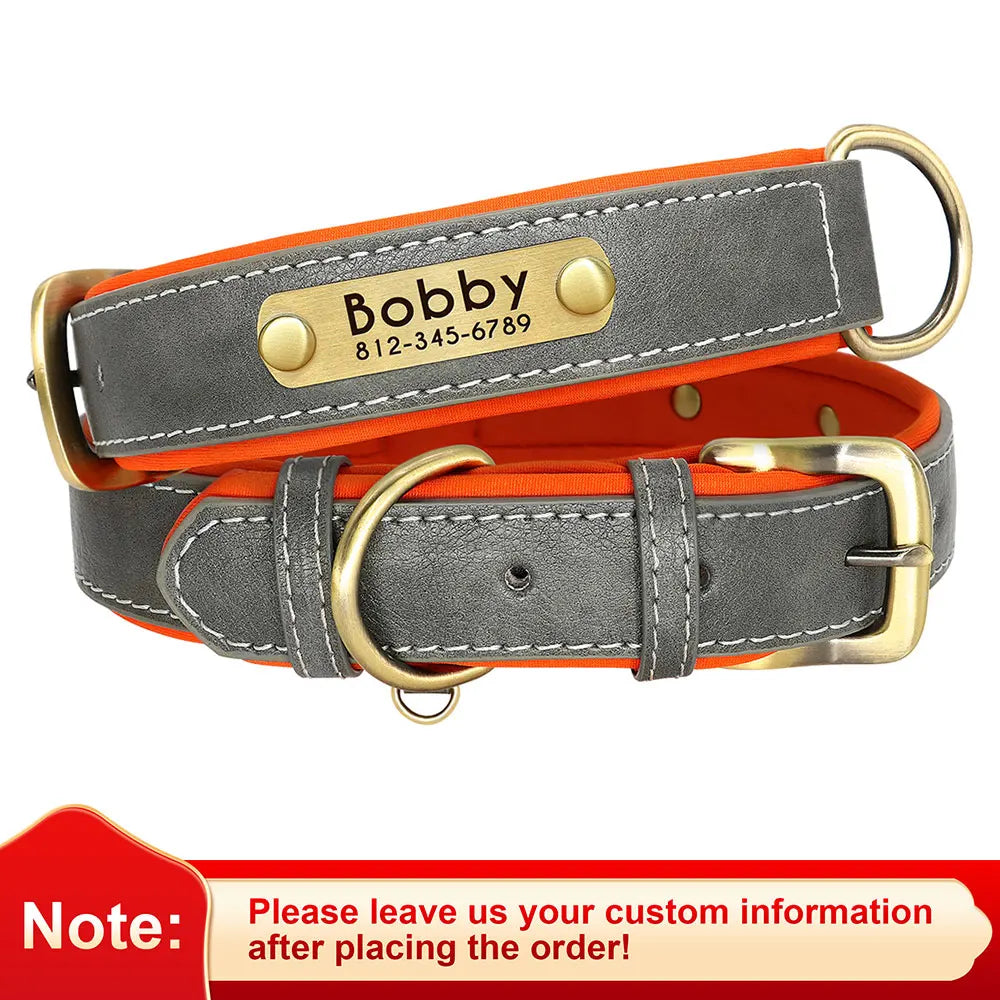 "Personalized Padded Leather Dog Collar - Custom Engraved Nameplate".