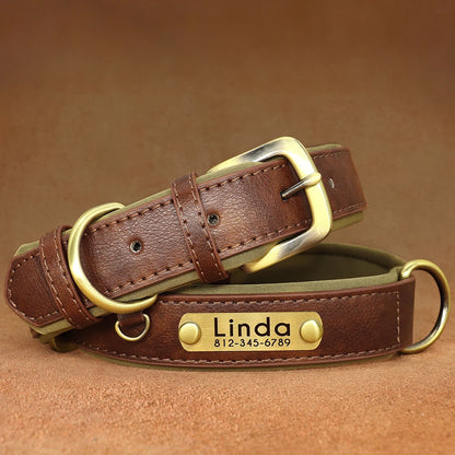 "Personalized Padded Leather Dog Collar - Custom Engraved Nameplate".