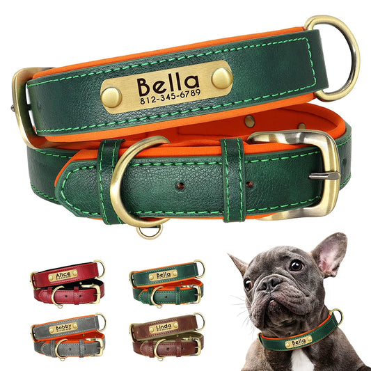 "Personalized Padded Leather Dog Collar - Custom Engraved Nameplate".
