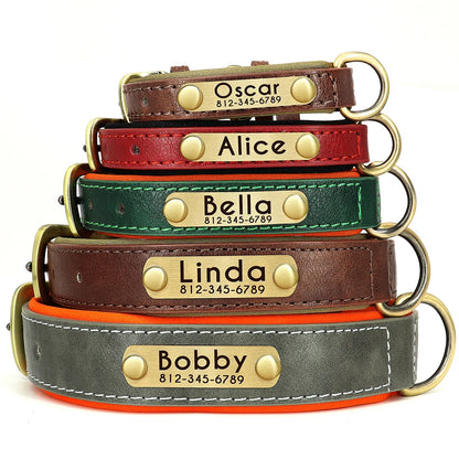 "Personalized Padded Leather Dog Collar - Custom Engraved Nameplate".