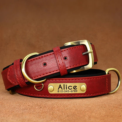 "Personalized Padded Leather Dog Collar - Custom Engraved Nameplate".