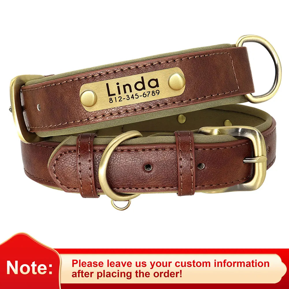 "Personalized Padded Leather Dog Collar - Custom Engraved Nameplate".