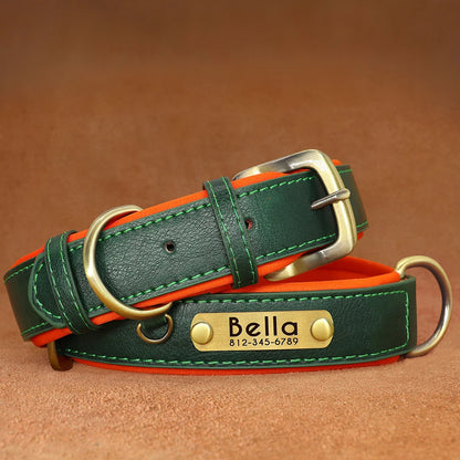 "Personalized Padded Leather Dog Collar - Custom Engraved Nameplate".