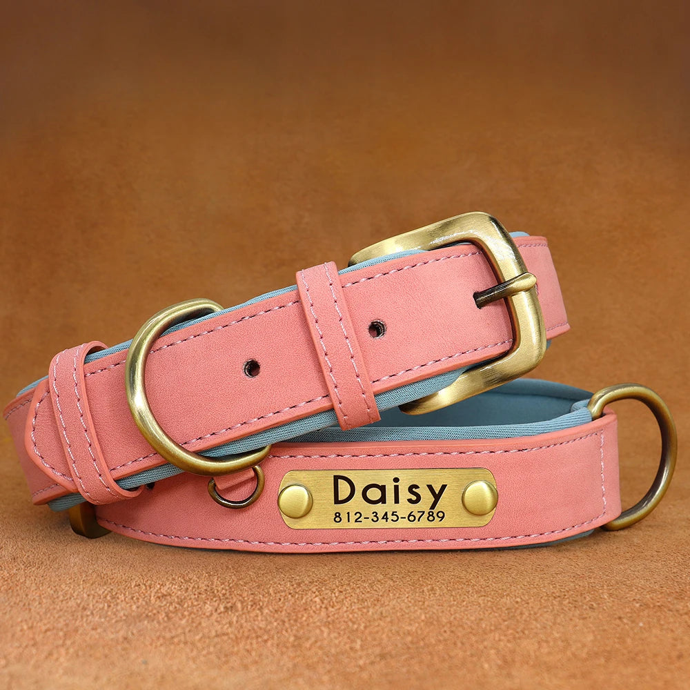 "Personalized Padded Leather Dog Collar - Custom Engraved Nameplate".