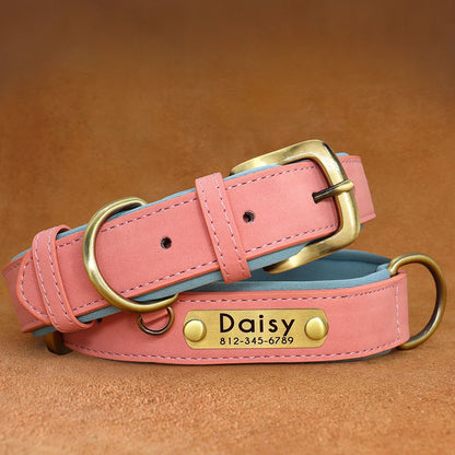 "Personalized Padded Leather Dog Collar - Custom Engraved Nameplate".