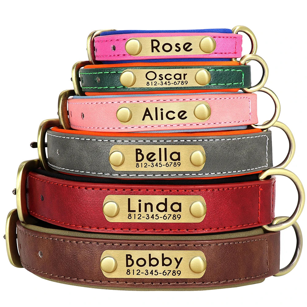 "Personalized Padded Leather Dog Collar - Custom Engraved Nameplate".