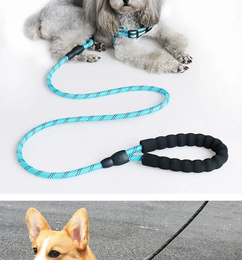 Heavy-Duty Rope Dog Leash with Comfort Handle - Multiple Colors & Lengths