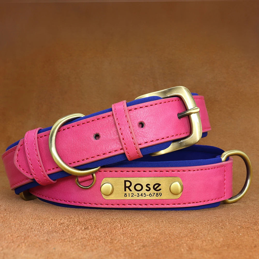 "Personalized Padded Leather Dog Collar - Custom Engraved Nameplate".