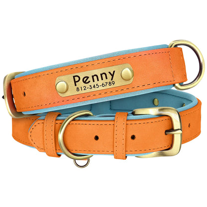 "Personalized Padded Leather Dog Collar - Custom Engraved Nameplate".
