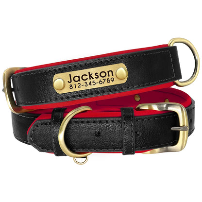 "Personalized Padded Leather Dog Collar - Custom Engraved Nameplate".