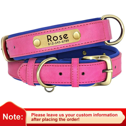 "Personalized Padded Leather Dog Collar - Custom Engraved Nameplate".