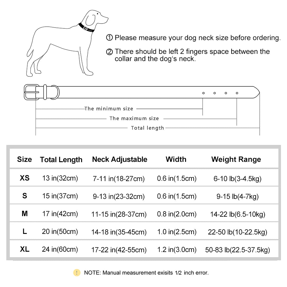 "Personalized Padded Leather Dog Collar - Custom Engraved Nameplate".