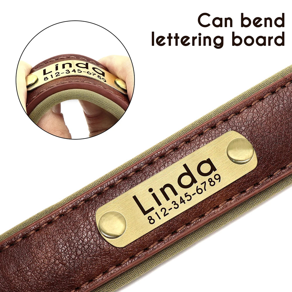 "Personalized Padded Leather Dog Collar - Custom Engraved Nameplate".