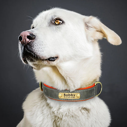 "Personalized Padded Leather Dog Collar - Custom Engraved Nameplate".