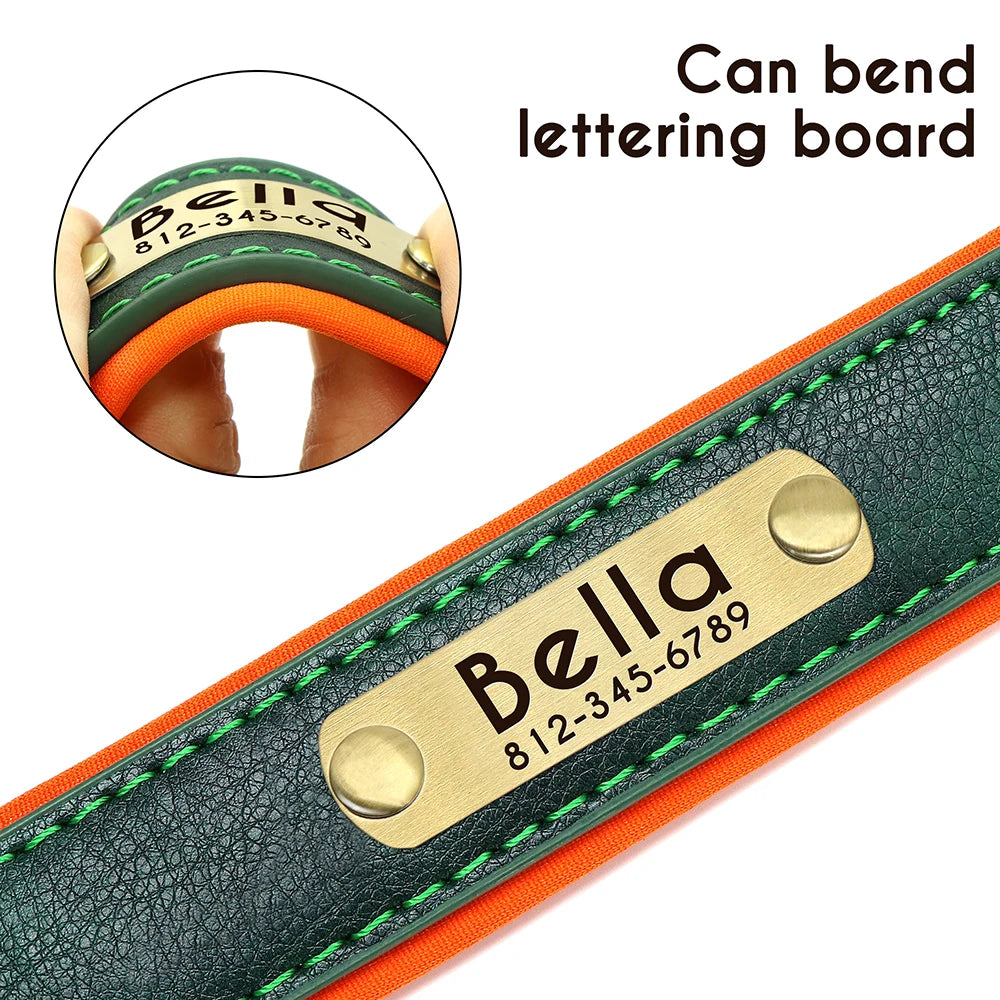 "Personalized Padded Leather Dog Collar - Custom Engraved Nameplate".