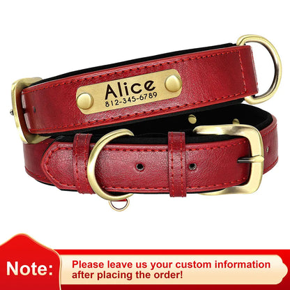 "Personalized Padded Leather Dog Collar - Custom Engraved Nameplate".